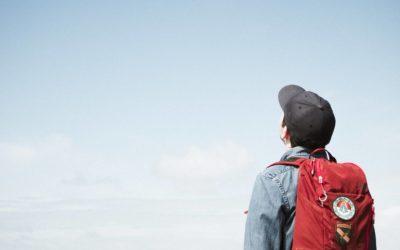 Le Guide de l’étudiant à Despiau est sorti !