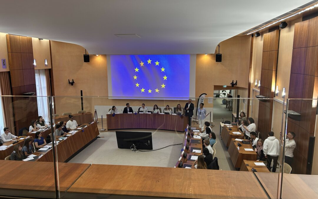 Des lycéens dans la peau de députés européens à Mont-de-Marsan