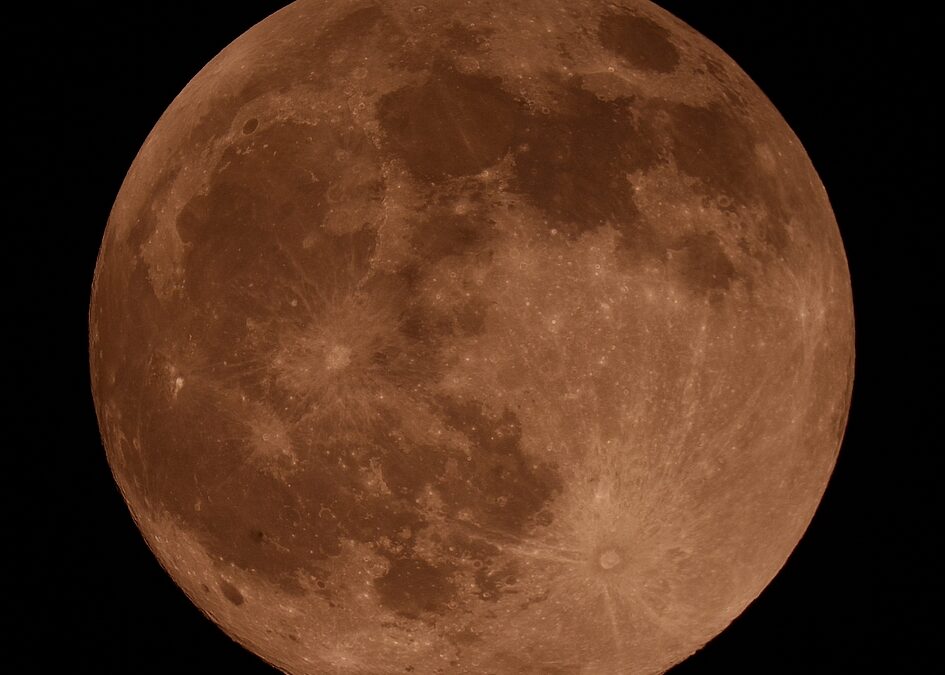 Déjà six observations astronomiques nocturnes depuis la rentrée !