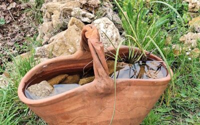Un petit peu d’eau, un petit oiseau s’aimaient d’amour tendre !